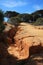 Pine trees growing on red- orange clay rocks.