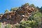 Pine trees of hanging rocks