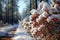 Pine trees heavy with snow - stock photography concepts