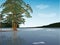 Pine trees near frozen lake illustration