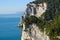 Pine trees overhanging the rocks on the island of Palmaria near Portovenere and the Cinque Terre