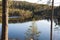 Pine trees reflected in the calm waters of a forest lake. Magical atmosphere of wild nature