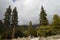 Pine Trees and Road House Angeles National Forest Mountainside San Gabriel Mountains Peak Overcast