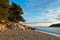 Pine trees, rocks and sand at sunset, Kastani Mamma Mia beach, island of Skopelos