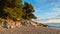 Pine trees, rocks and sand at sunset, Kastani Mamma Mia beach, island of Skopelos