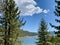 Pine Trees Surrounding Blue Big Bear Lake