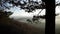 Pine trunk in Kislovodsk Park and other trees on the background of fields in the haze. Panoramic view of Elbrus in the background