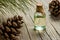 Pine turpentine essential oil in glass bottle