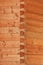 Pine wood carpentry - Through dovetail joint detail