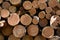 Pine woodpile timber circle lumber firewood Russia