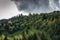 Pine woods meets deciduous woods on the top of the mountain, gathering stormclouds