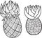 Pineapple and ananas coloring page. Graphic vector black and white art for coloring books for adults. Tropical and exotic fruit l