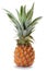 Pineapple ananas fruit