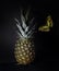 pineapple and butterfly on a black background.