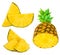 Pineapple collection with fresh Whole and sliced Ananas isolate