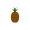 a pineapple colored icon. Element of fruits and vegetables icon for mobile concept and web apps. Colored a pineapple icon can be