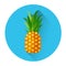 Pineapple Colorful Fruit Icon