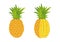 Pineapple and cuted pineapple vector flat design