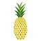 A pineapple. Decorative fresh fruit. Vector illustration