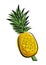 Pineapple design