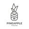 pineapple design logo combination of symbols, house icon in real estate graphic art Abstract graphic illustration of pineapple in