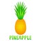 Pineapple. Doodle. Color vector illustration.