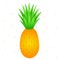 Pineapple. Doodle. Color vector illustration.