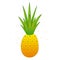 Pineapple. Doodle. Color vector illustration. Hand-drawn