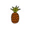 Pineapple doodle icon