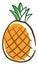 Pineapple drawing, illustration, vector