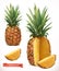 Pineapple. Fresh fruit 3d vector icon