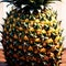 Pineapple fresh raw organic fruit