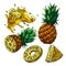 pineapple fresh set sketch hand drawn vector