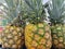 Pineapple fruit besides being made into pineapple juice also contains lots of vitamins