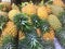 Pineapple fruit for sell from thailand