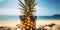 Pineapple fruit with sunglasses with beach in background