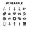 pineapple fruit tropical food icons set vector