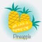 Pineapple Fruits Vector Illustration.