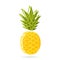 Pineapple gold with offset outline clipart. Ripe yellow fruit with fluffy scales and green bunch.