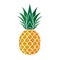 Pineapple golden with green leaf. Tropical gold exotic fruit isolated white background. Symbol of organic food, summer