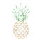 Pineapple grunge with leaf. Tropical gold exotic fruit isolated white background. Symbol of organic food, summer