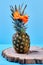 Pineapple with hair bow on wooden slice.