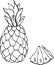 Pineapple hand drawn line art sketchy juicy summer organic ananas vegetarian healthy vitamin food dessert tropical fruit