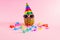 Pineapple with hat, glasses and colorul party streamers on pink background. Minimal party and celebration concept