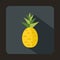 Pineapple icon in flat style