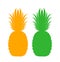 Pineapple. Icon. Isolated pineapples on white background