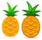 Pineapple icon tropical fruit vector