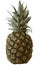 Pineapple - image