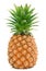 pineapple isolated pictures