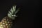 Pineapple isolated on black. Fresh exotic, tropical fruit with copy space. Dark photo. Summer fruit